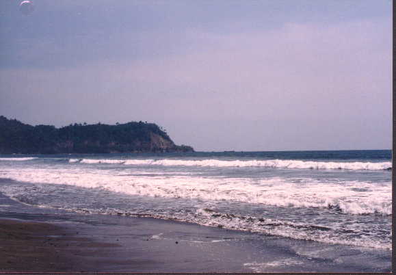 CR12.JPG