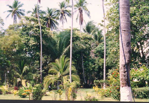 CR5.JPG
