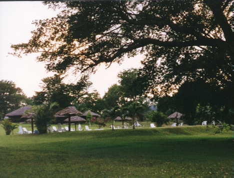 MX17.JPG