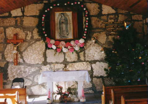 MX8_Copy_1.JPG