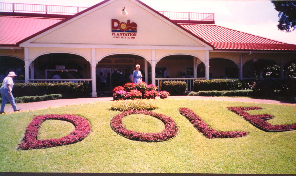 ho8.jpg