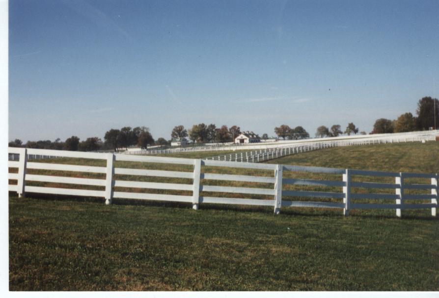 usa026.jpg